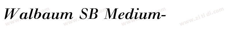 Walbaum SB Medium字体转换